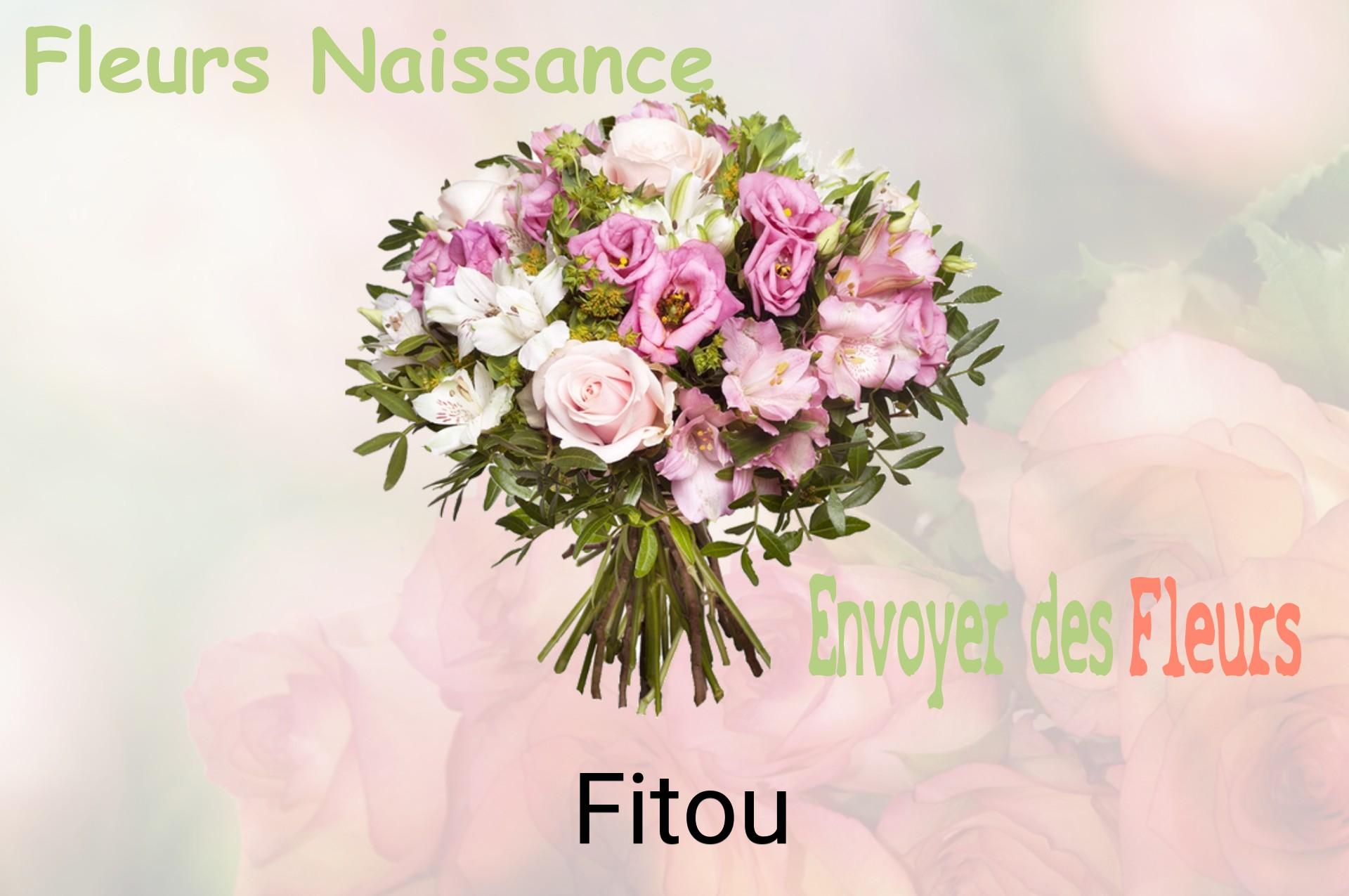 Bouquet de fleurs de naissance livré à Fitou